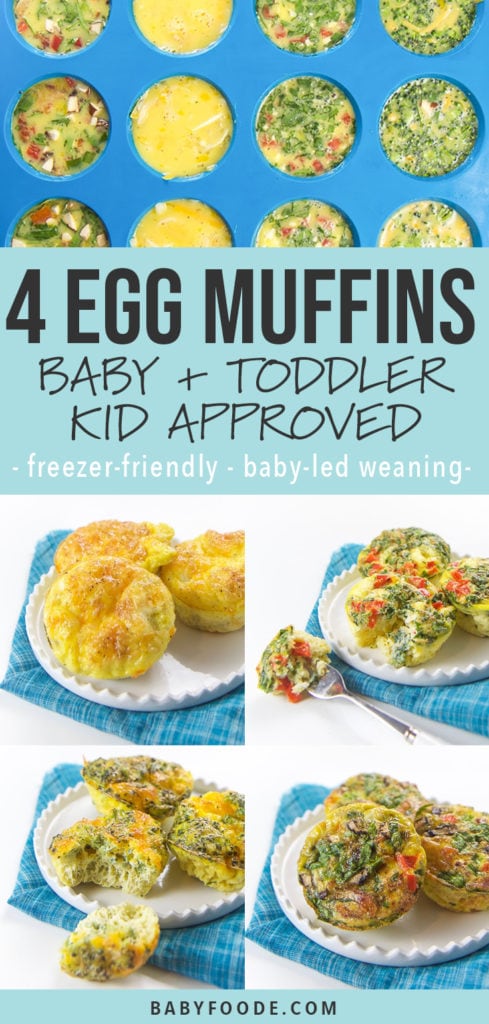 Graphic for Posts - 4 egg muffins, baby, toddler and kid approved - freezer friendly and baby led weaning. Images are of grid of egg muffins.