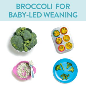 Graphic for post - broccoli baby-led weaning - 3 easy recipes - 6+ months. Images are in a grid with colorful baby plates.