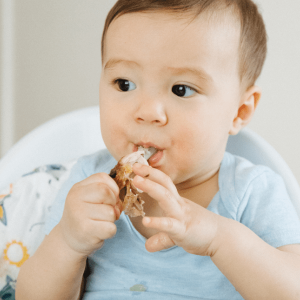 Baby boy sitting in a highchair eating a piece of chicken using a palmar grasp.