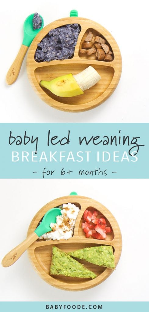 Two baby led weaning breakfast plates for ages 6+ months.