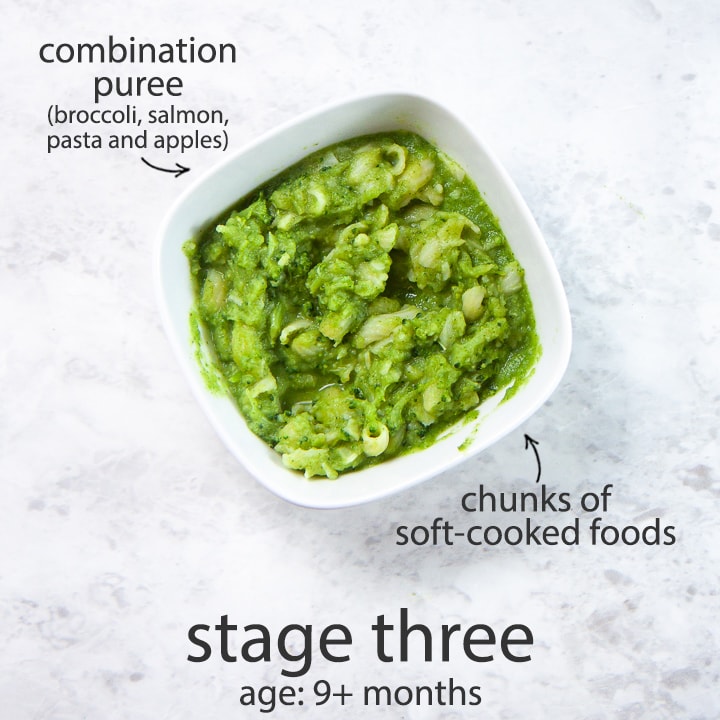 Stage three baby food combination puree for 9 months and up.