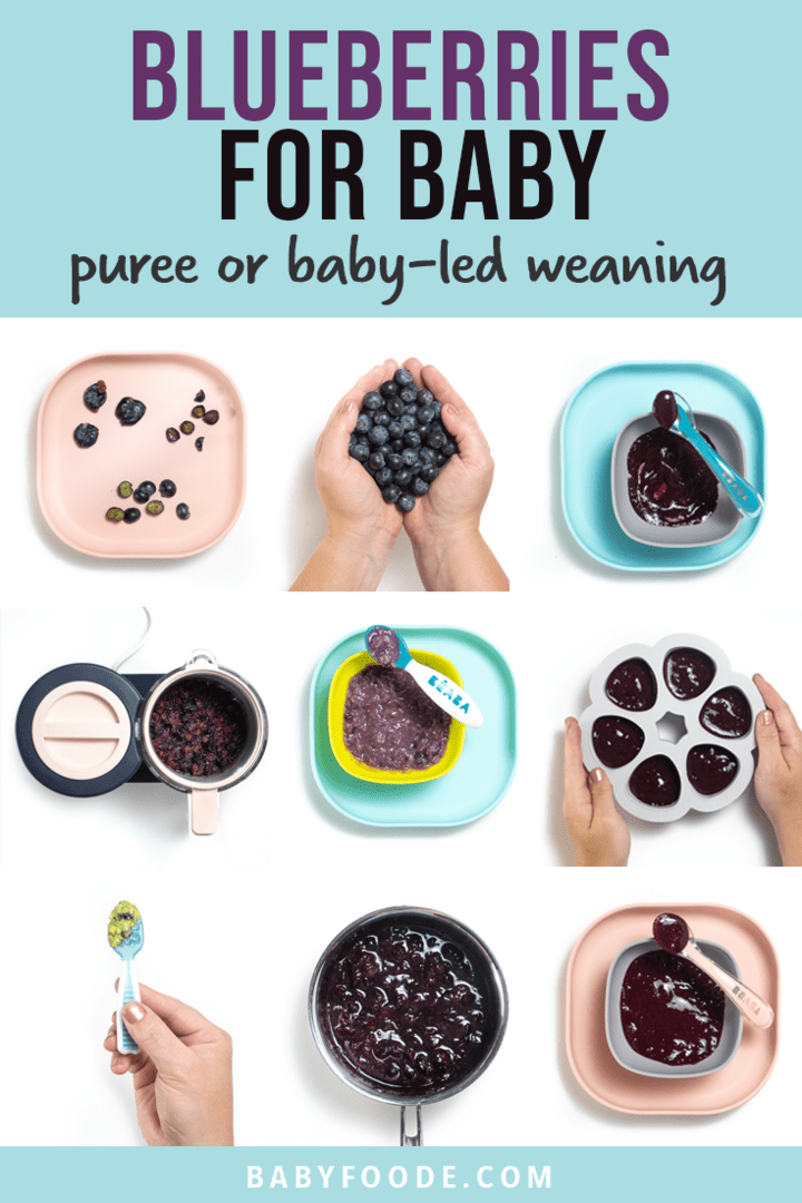 Graphic for post - blueberries for baby - puree and baby led weaning. Images are in a grid of whole blueberries, pureed blueberries and frozen blueberry puree that are all on blue or pink plates. 