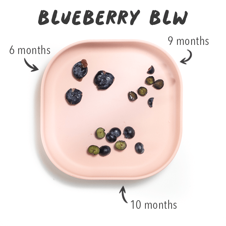 A pink plate with blueberries cut three different ways for different ages of baby to self-feed. 