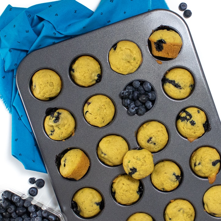 Muffin pan filled with cooked blueberry muffins with blueberries scattered around. 