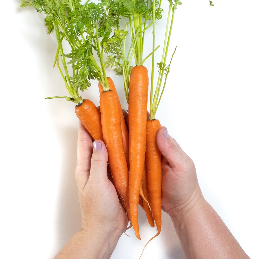 He is holding a bunch of carrots with green stems.