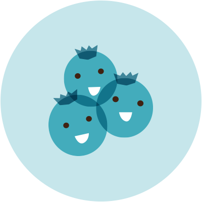 Cartoon Blueberry Icon