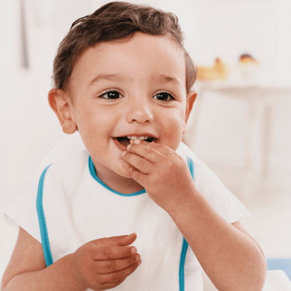 Boy with white bib in highchair eating with a pincer grasp.