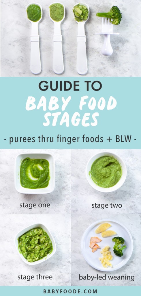 Graphic for post - Guide to Baby Food Stages - purees thru finger foods with baby led weaning. Images are a grid of bowls full of the different stages.