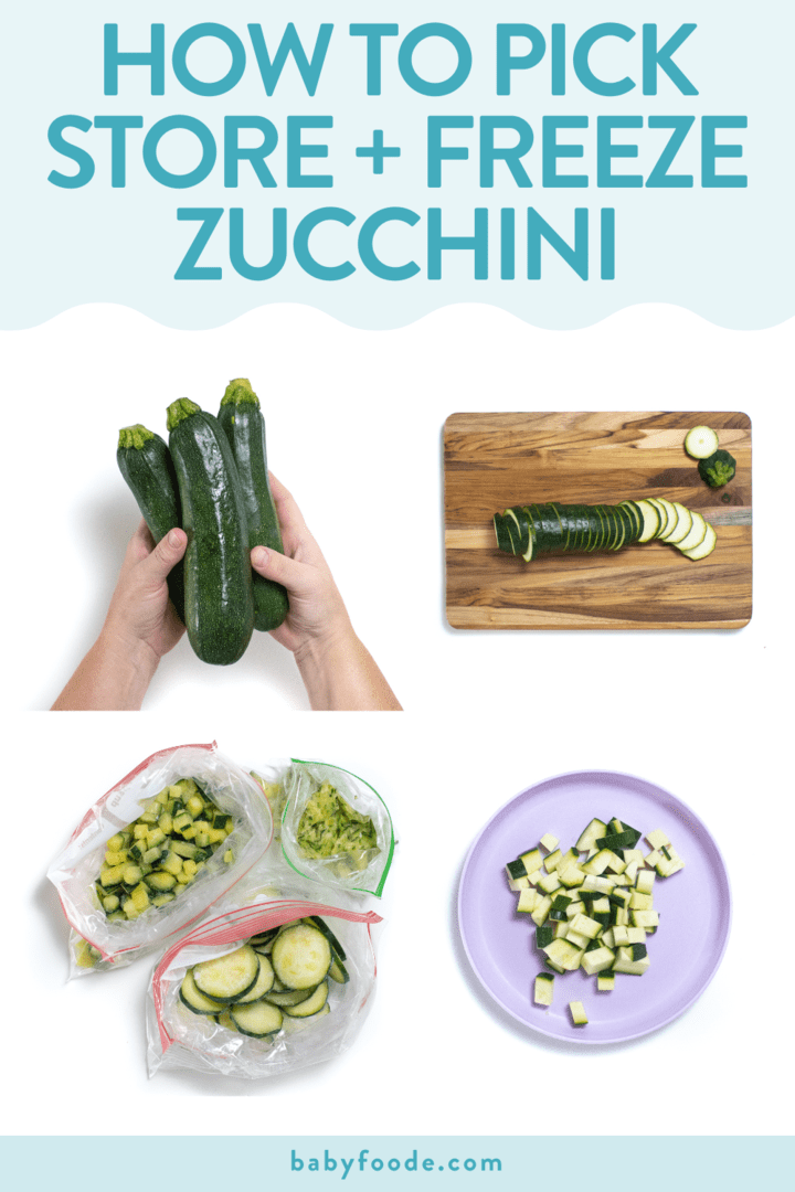 Graphic for post - how to pick and store zucchini. Images are in a grid against a white background showing how to cut, freeze and cut zucchini.