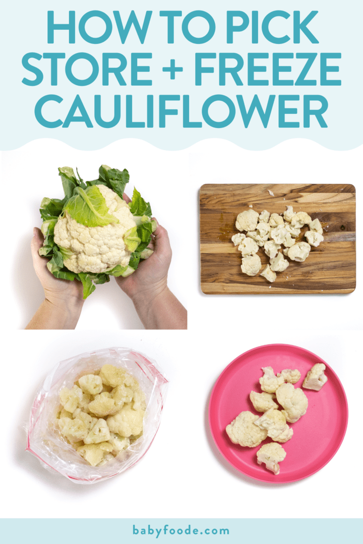 graphic for post - how to pick, store and freeze cauliflower. Images are in a grid showing a cauliflower, a cutting board with cut cauliflower, frozen cauliflower and a pink plate with cut florets.