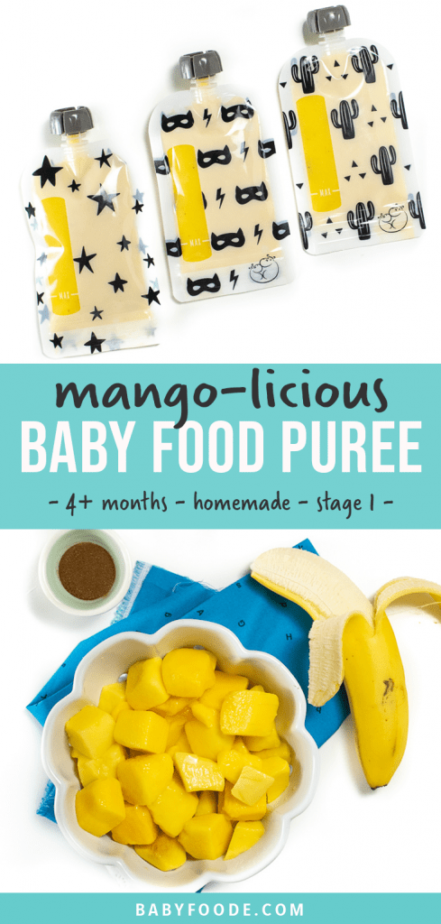 Graphic for Post - Mango Baby Food Puree - 4 months and up - homemade - stage one puree. WIth image of a bowl of mango puree with chunks of produce surrounding it.