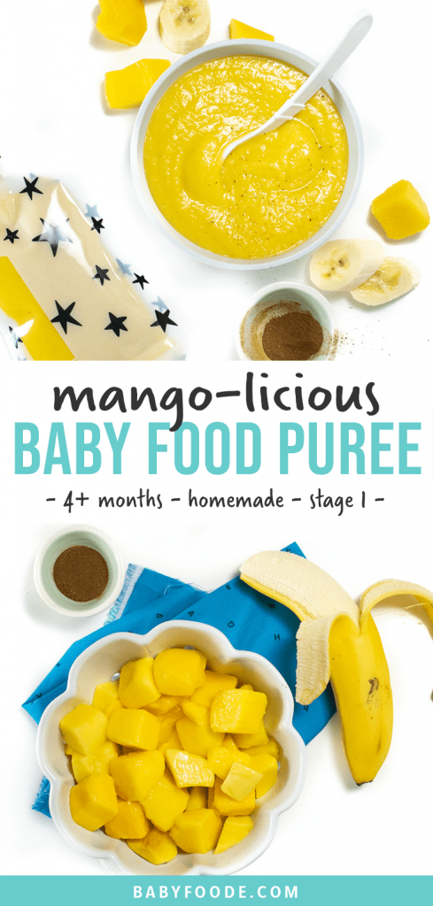 Graphic for Post - Mango Baby Food Puree - 4 months and up - homemade - stage one puree. WIth image of a bowl of mango puree with chunks of produce surrounding it.