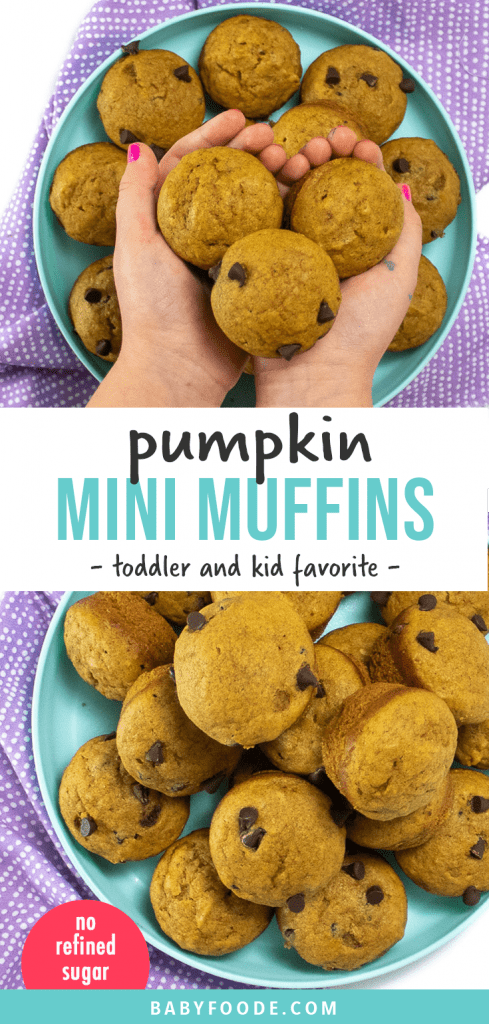 Graphic for post- pumpkin mini muffins - toddler and kid favorite. Images of teal plate with small kids hands holding mini muffins.