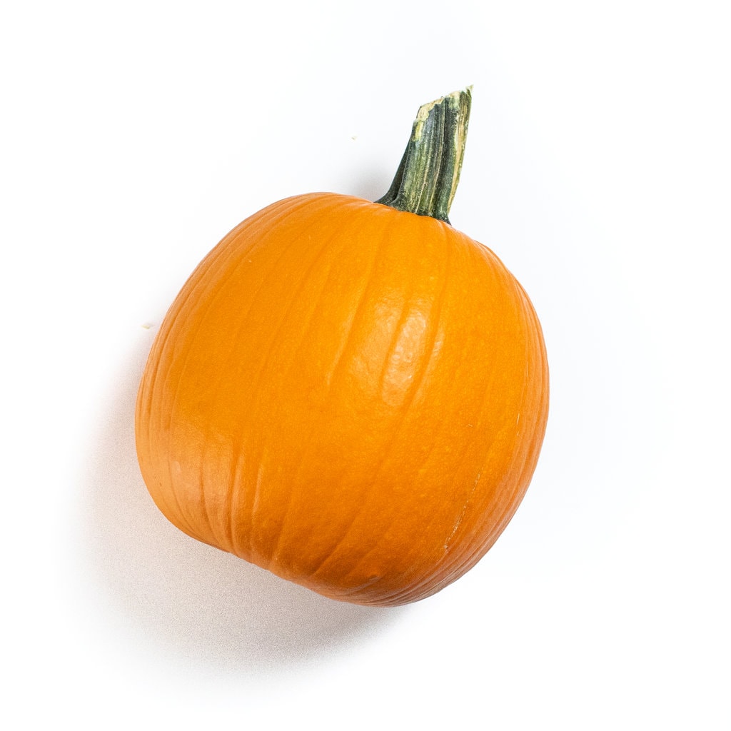 Pie pumpkin sitting on a white countertop.