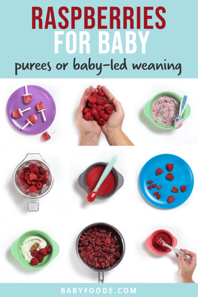 Graphic for post - raspberries for baby - purees or baby led weaning. 9 images in a grid of colorful baby plates and bowls filled with ways baby can eat raspberries.