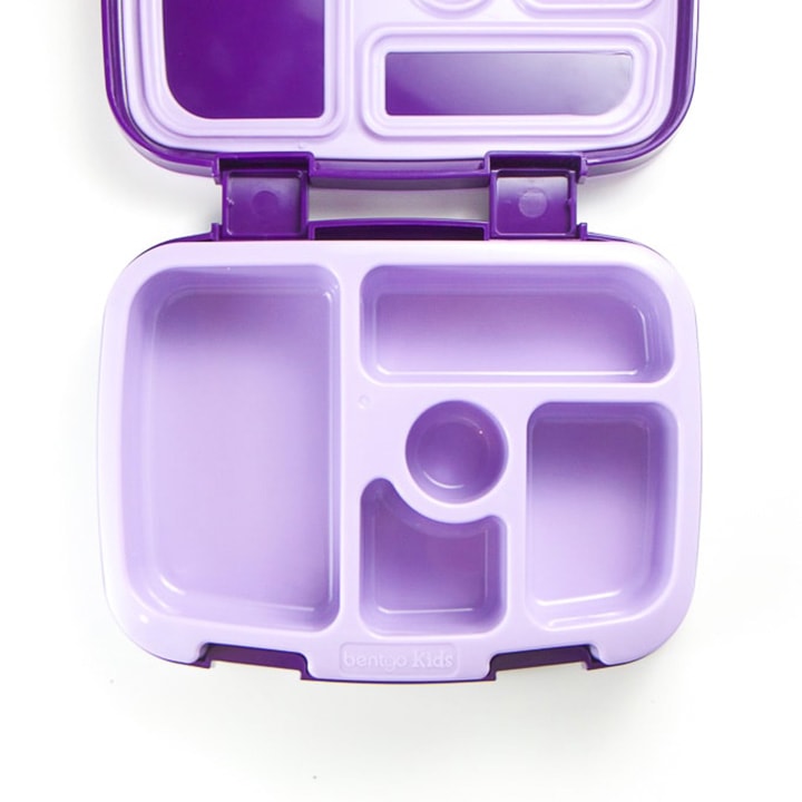 Purple bento school lunch box.