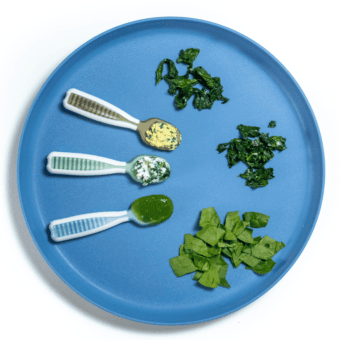 Blue baby play with different ways to serve spinach to Baby for different ages 6 to 12 months old includes purées and baby led weaning options. The blue plate is sitting on the white countertop.